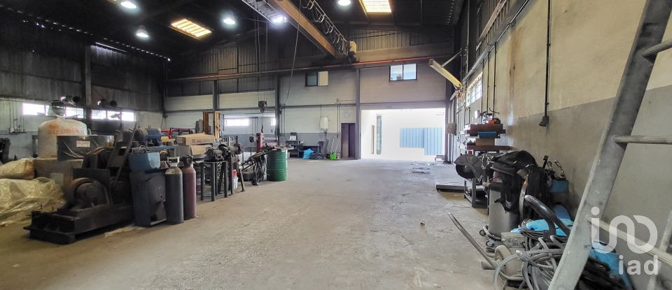 Armazém T0 em Oiã de 569 m²