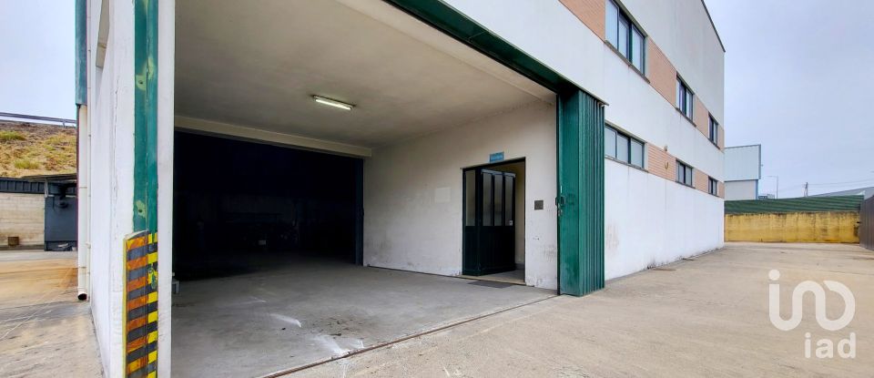 Armazém T0 em Oiã de 569 m²
