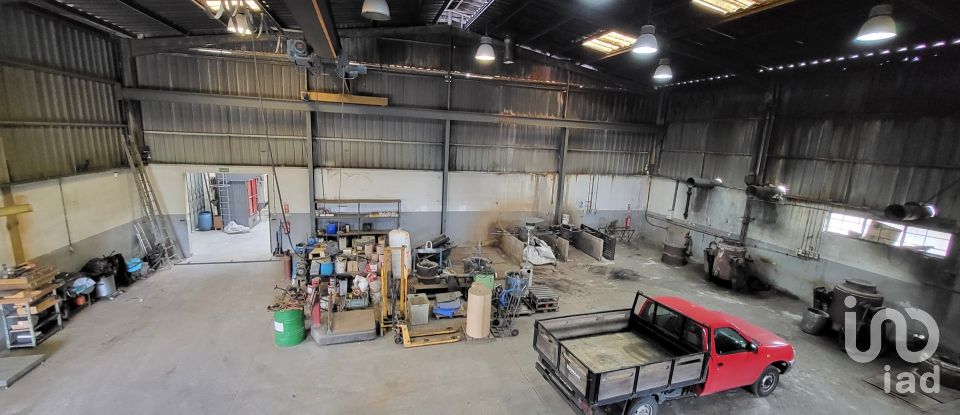 Armazém T0 em Oiã de 569 m²