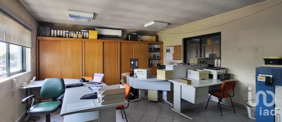 Armazém T0 em Oiã de 569 m²