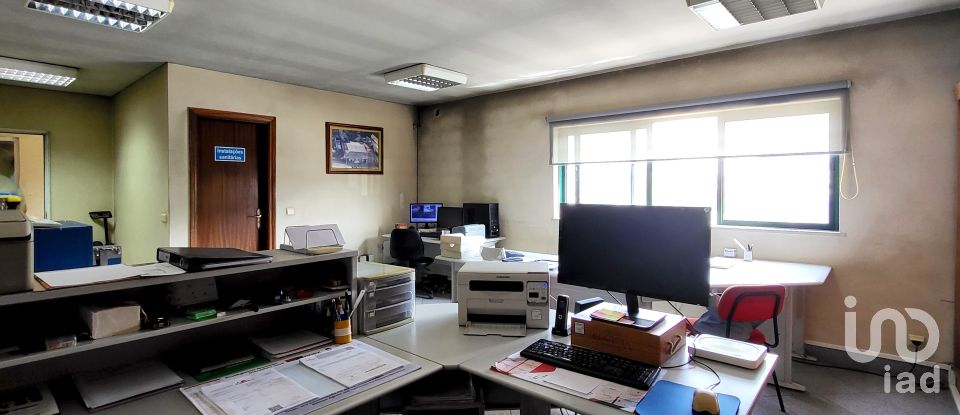 Armazém T0 em Oiã de 569 m²