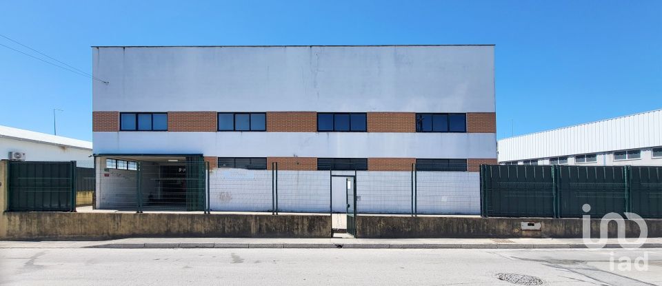 Armazém T0 em Oiã de 569 m²