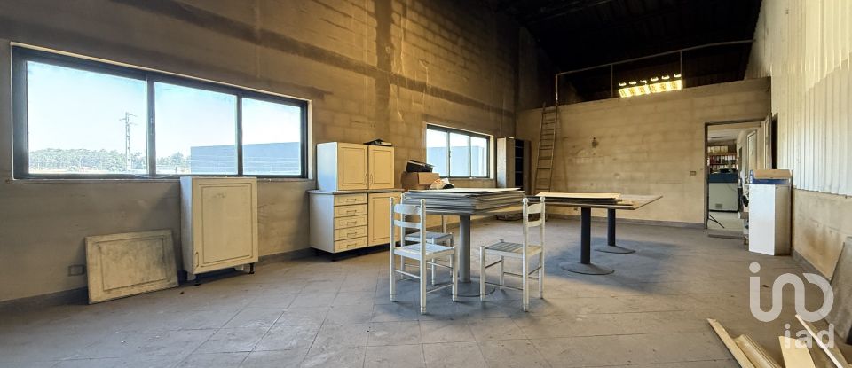 Armazém T0 em Oiã de 569 m²