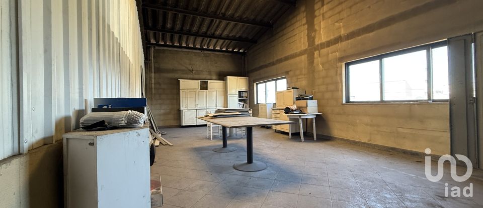 Armazém T0 em Oiã de 569 m²