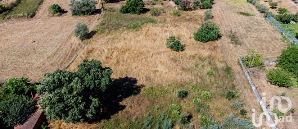 Land in Pampilhosa of 6,421 m²