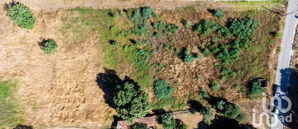 Land in Pampilhosa of 6,421 m²