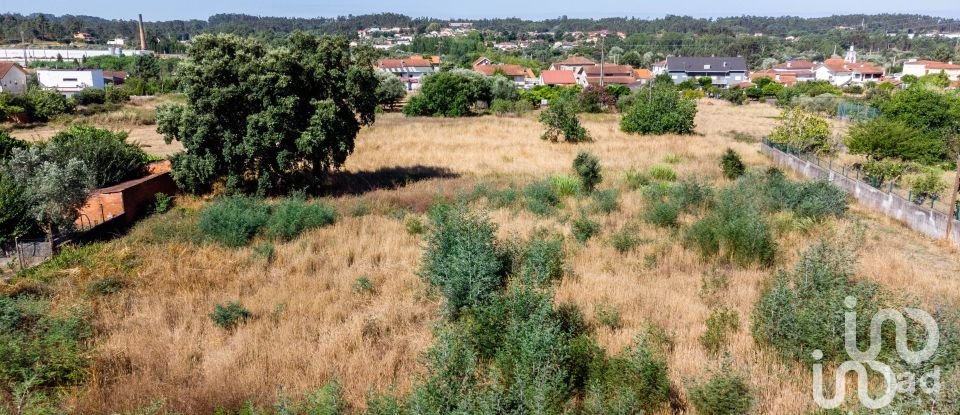 Land in Pampilhosa of 6,421 m²