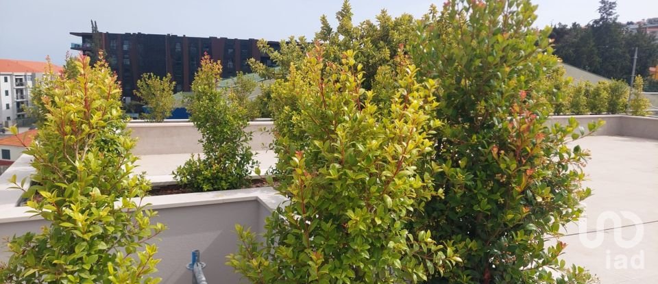 Apartment T3 in São Martinho of 118 m²