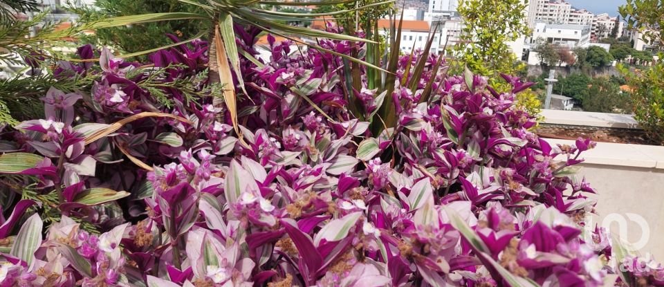 Appartement T2 à São Martinho de 98 m²