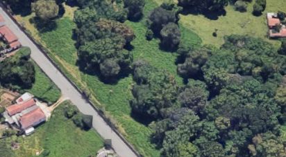 Maison T0 à Grijó e Sermonde de 24 589 m²