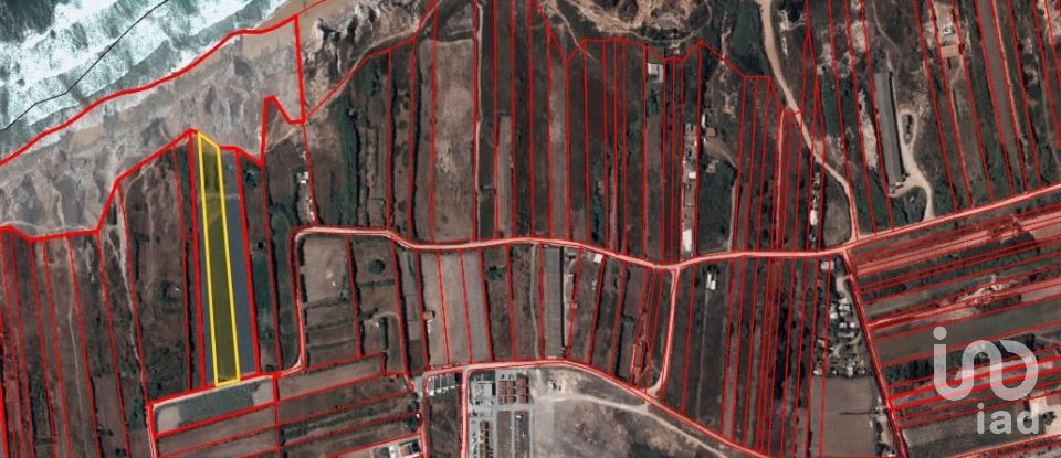 Land in Ferrel of 5,600 m²