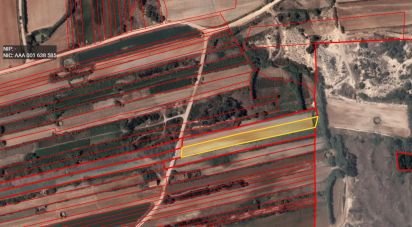 Terrain à Ferrel de 3 800 m²