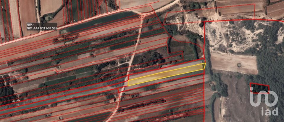 Land in Ferrel of 3,800 m²