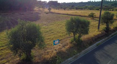 Land in Areias e Pias of 7,560 m²