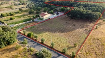Land in Areias e Pias of 7,560 m²