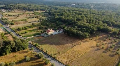 Terrain à Areias e Pias de 7 560 m²