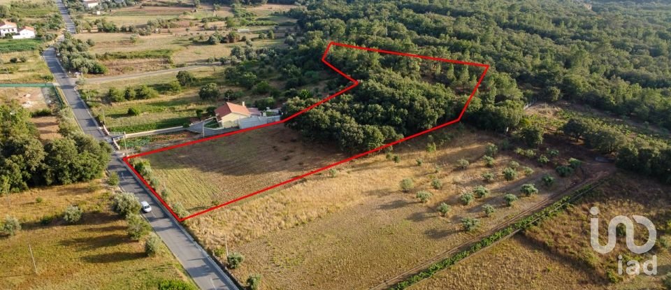 Terreno em Areias e Pias de 7 560 m²