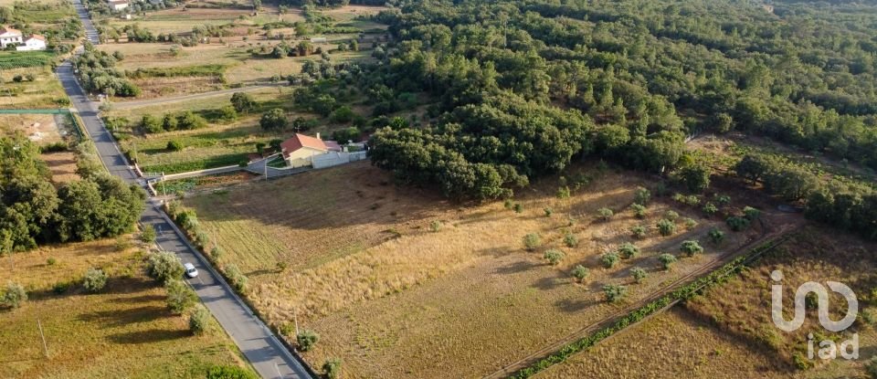 Terreno em Areias e Pias de 7 560 m²