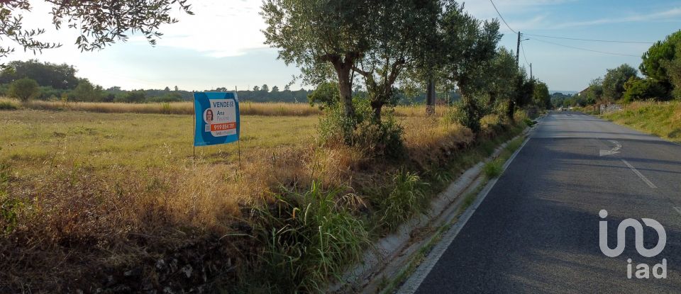 Terreno em Areias e Pias de 7 560 m²