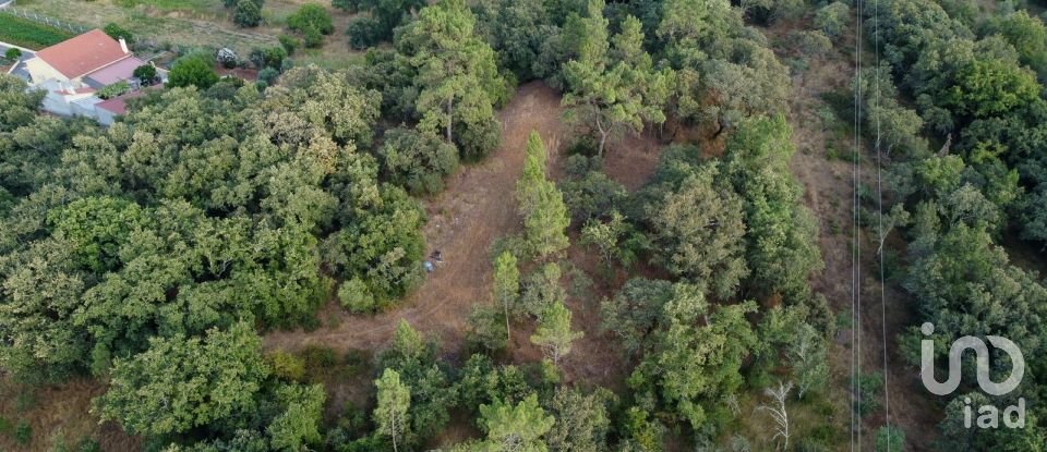 Terreno em Areias e Pias de 7 560 m²