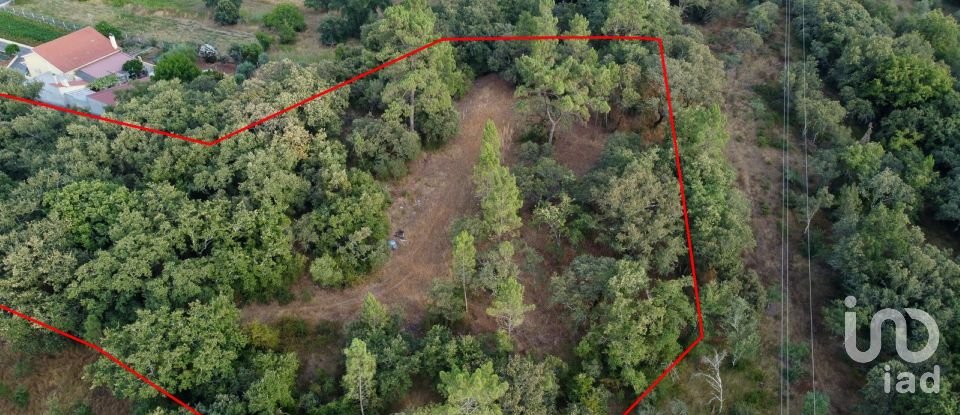 Terreno em Areias e Pias de 7 560 m²