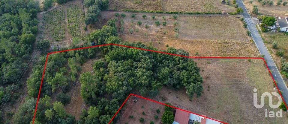 Terreno em Areias e Pias de 7 560 m²