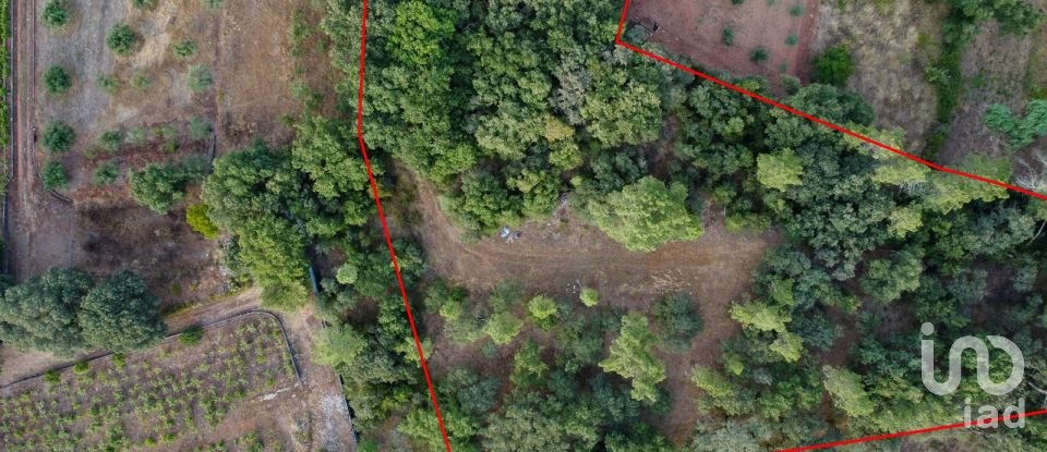 Terreno em Areias e Pias de 7 560 m²