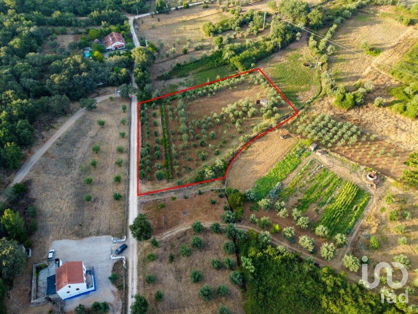 Terreno em Areias e Pias de 4 160 m²