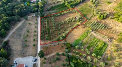 Land in Areias e Pias of 4,160 m²