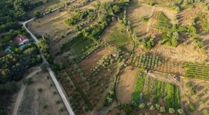 Land in Areias e Pias of 4,160 m²