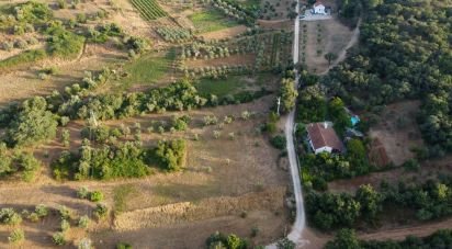 Land in Areias e Pias of 4,160 m²