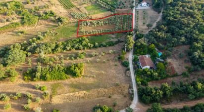 Land in Areias e Pias of 4,160 m²