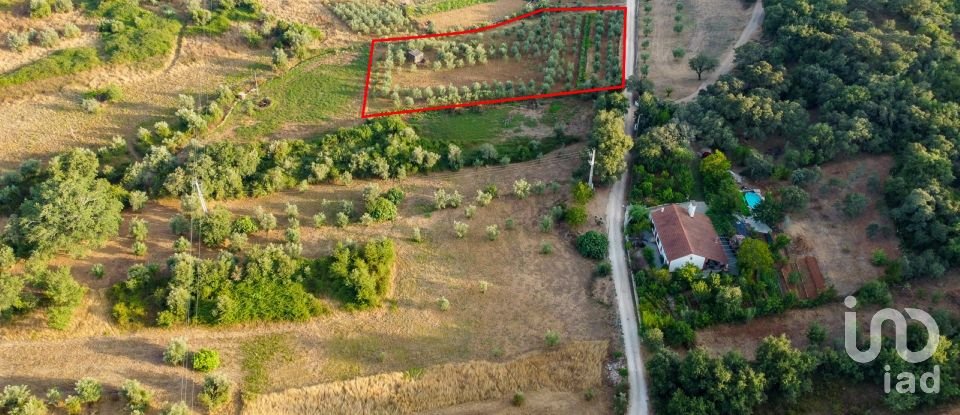 Terreno em Areias e Pias de 4 160 m²