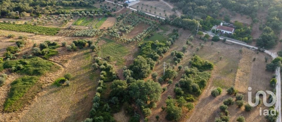 Terreno em Areias e Pias de 4 160 m²