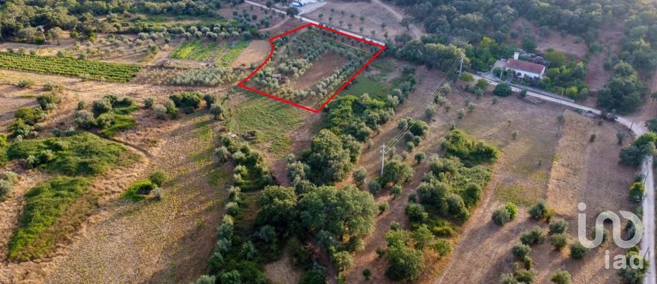 Terreno em Areias e Pias de 4 160 m²