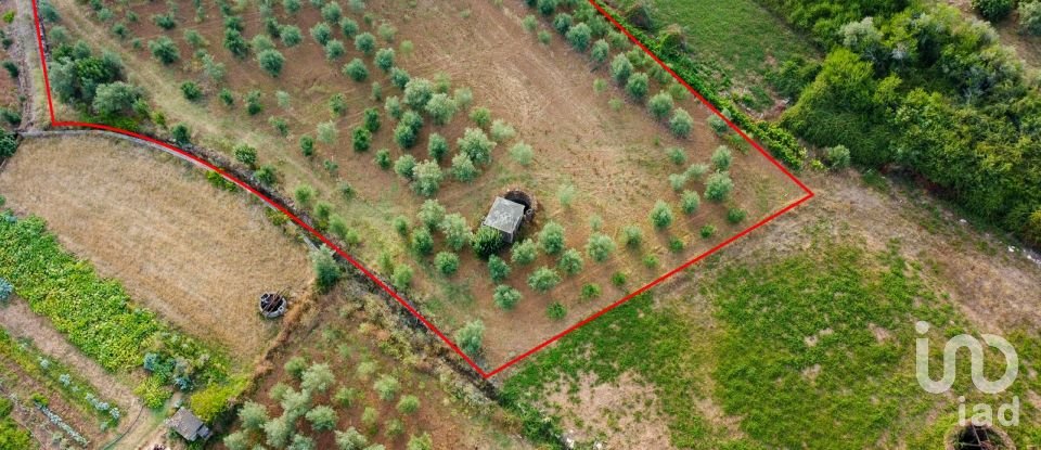 Terreno em Areias e Pias de 4 160 m²