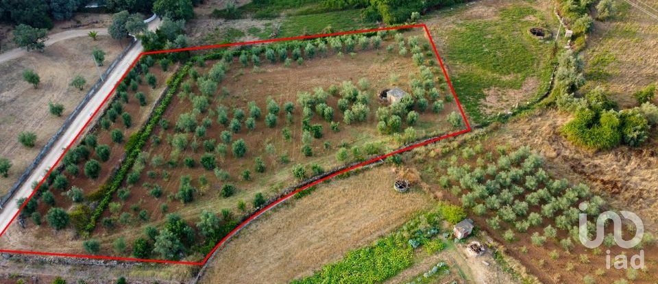 Terreno em Areias e Pias de 4 160 m²