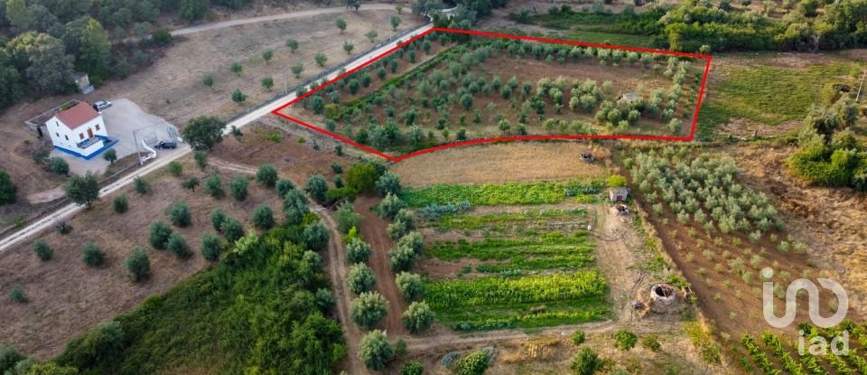 Terreno em Areias e Pias de 4 160 m²