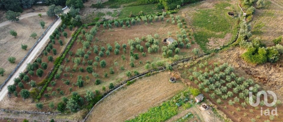 Terreno em Areias e Pias de 4 160 m²