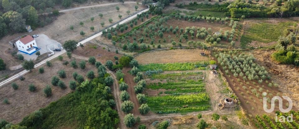 Terreno em Areias e Pias de 4 160 m²