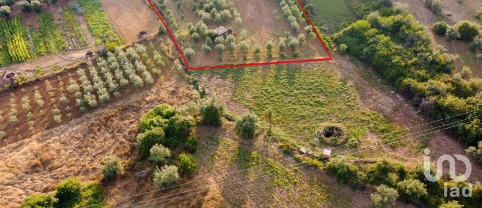 Terreno em Areias e Pias de 4 160 m²