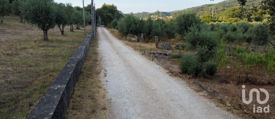 Terreno em Areias e Pias de 4 160 m²