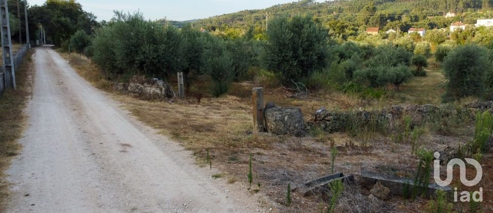 Terreno em Areias e Pias de 4 160 m²