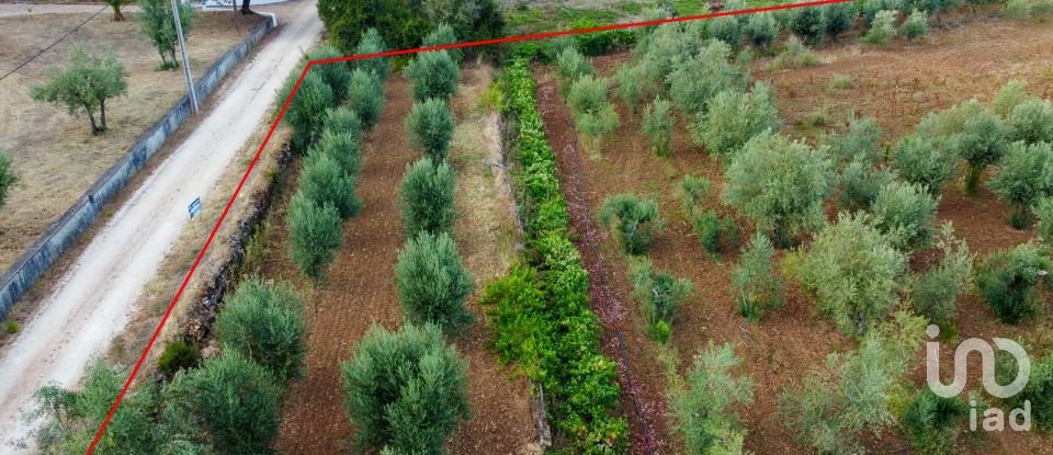 Terreno em Areias e Pias de 4 160 m²