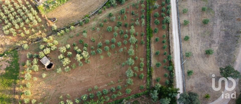 Terreno em Areias e Pias de 4 160 m²