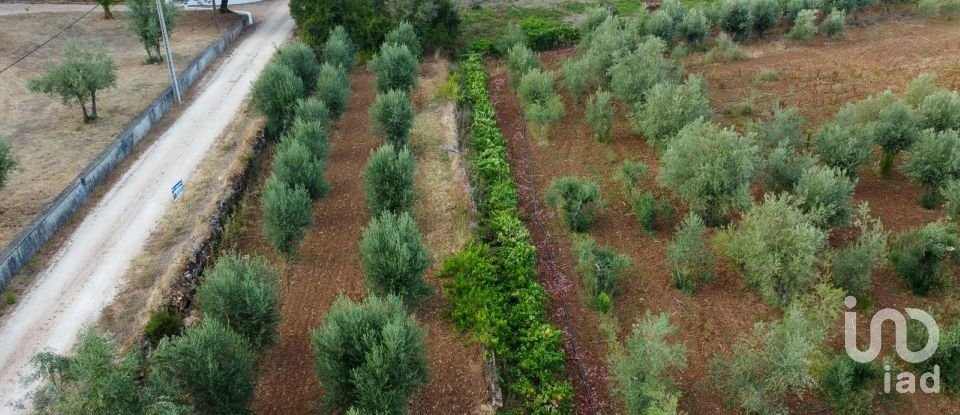 Terreno em Areias e Pias de 4 160 m²