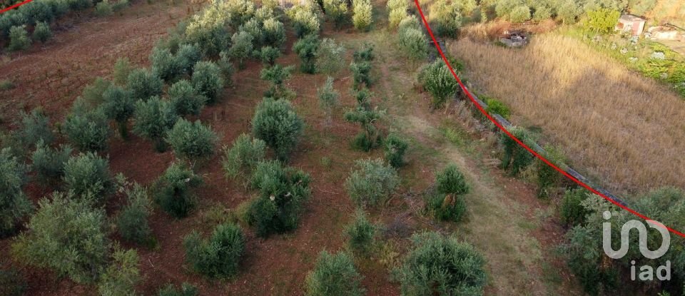 Terreno em Areias e Pias de 4 160 m²