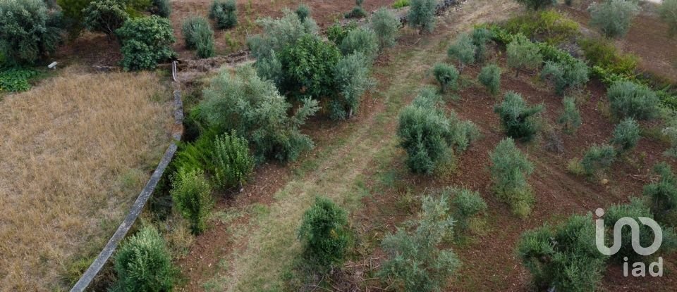 Terreno em Areias e Pias de 4 160 m²