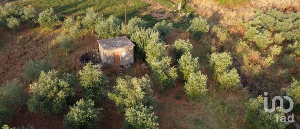 Terreno em Areias e Pias de 4 160 m²