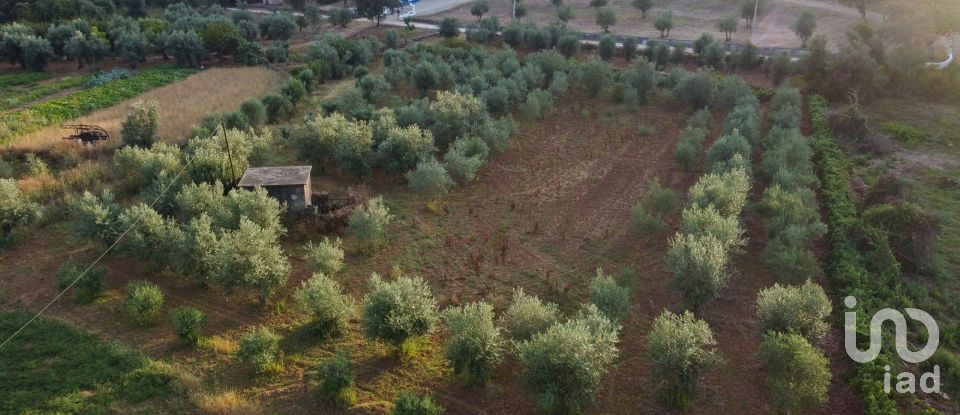 Terreno em Areias e Pias de 4 160 m²